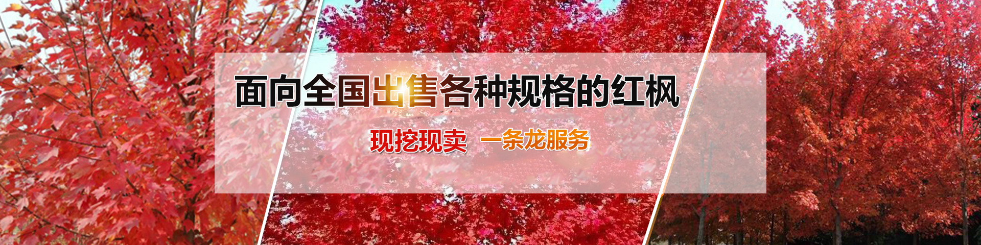 濟寧市天合食品有限公司