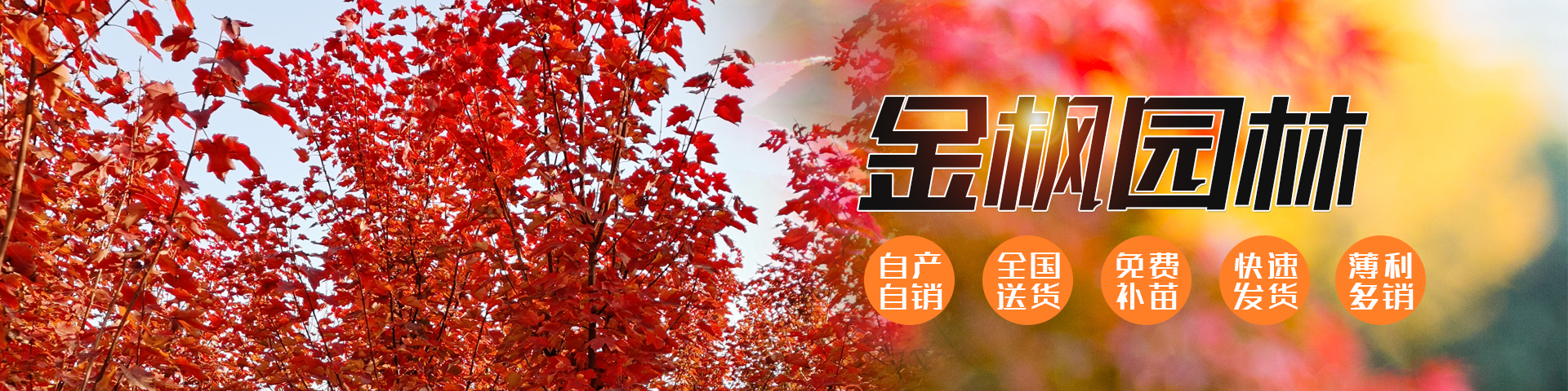 濟寧市天合食品有限公司